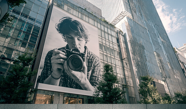 Which camera should a beginner choose?