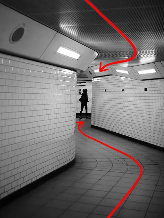 curves in S