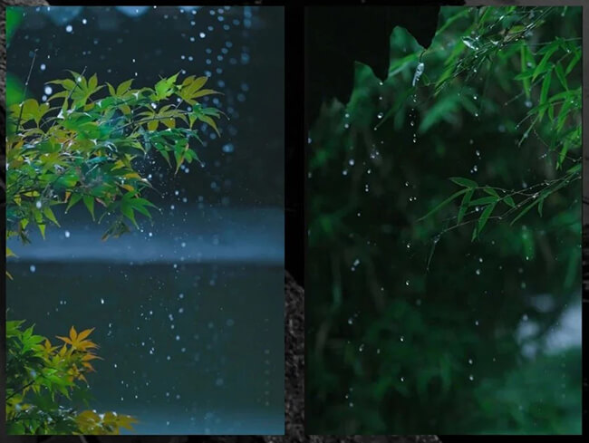 Tips for Shooting Raindrops