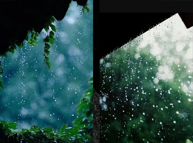 Tips for Shooting Raindrops