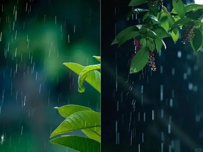 Tips for Shooting Raindrops