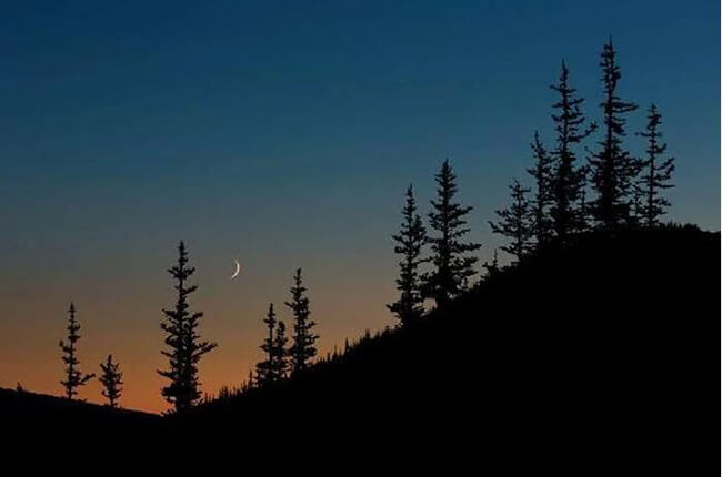 How to Take Silhouette Photos