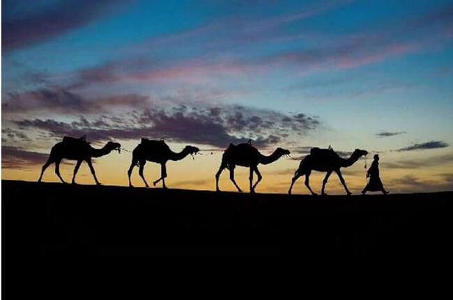 How to Take Silhouette Photos