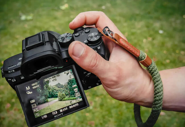 Mirrorless camera picture