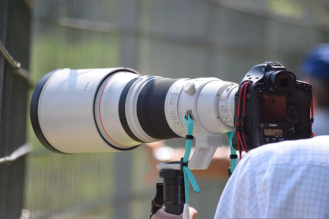 Symptoms of Loving Photography