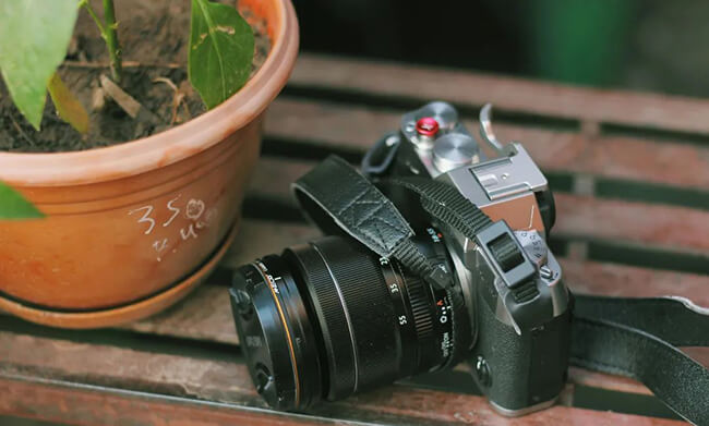 How to correctly view entry-level cameras