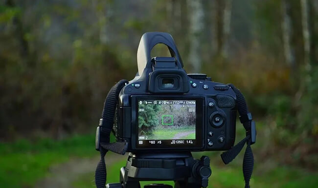 How to correctly view entry-level cameras