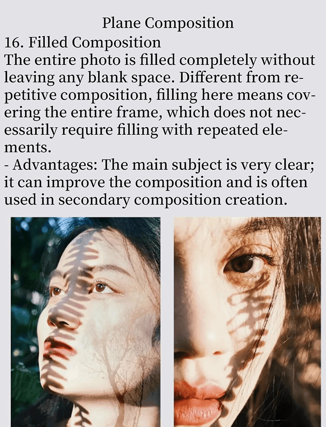 Knowledge of Photographic Composition