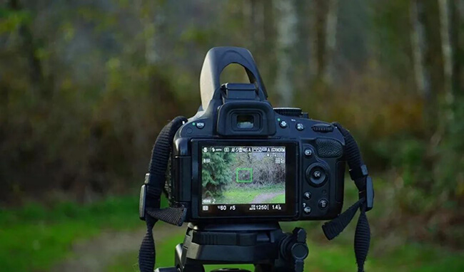 Why does a camera "break" when left unused for a long time