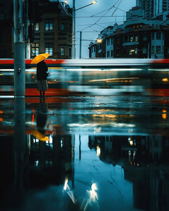 Photography Appreciation