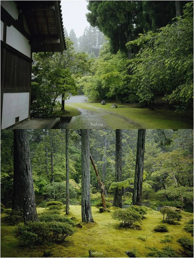 GR3X Photography