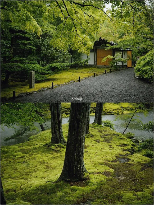 GR3X Photography