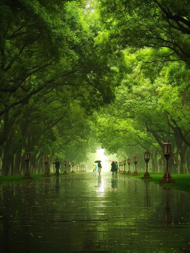 Appreciation of Light and Shadow in Rainy Day Photography