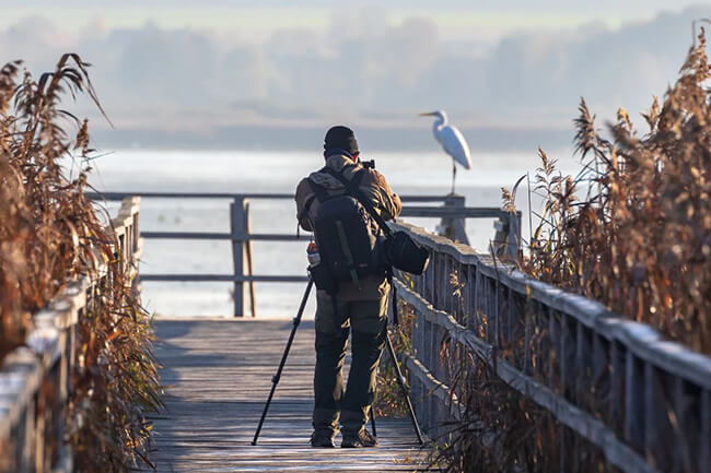 This is the mental state of a photographer