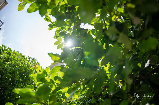 Review of Sigma 17-40mm F1.8 DC Lens