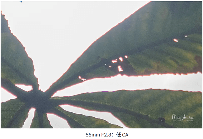 Review of Sigma 17-40mm F1.8 DC Lens