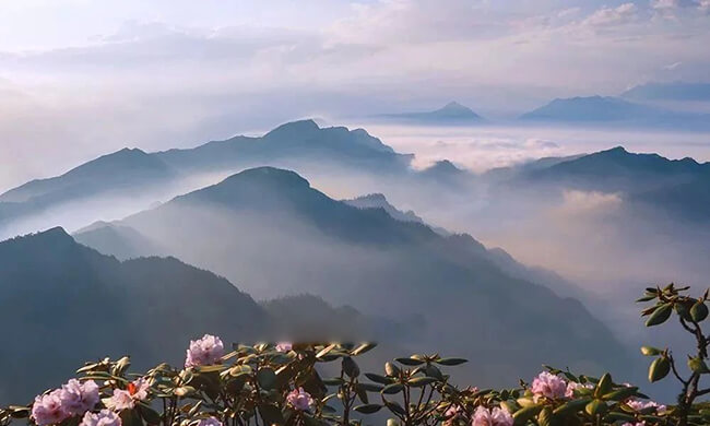 How to Take Landscape Photos?