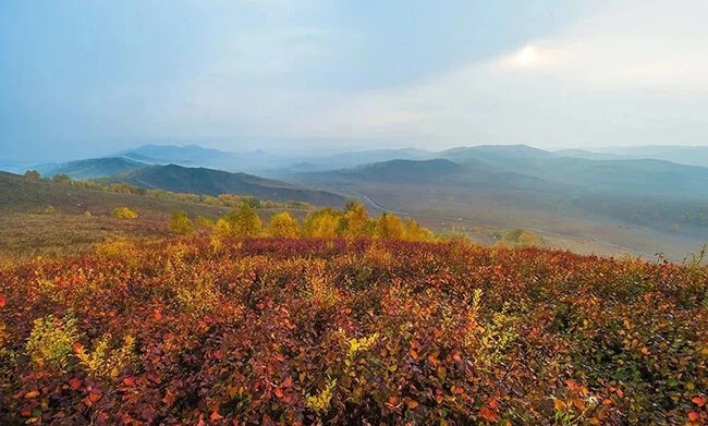 How to Take Landscape Photos?