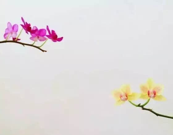 9 Practical Photography Tips  