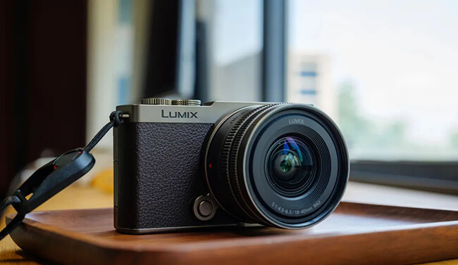 Comparison Between Panasonic LUMIX S9 and Sony A7C2