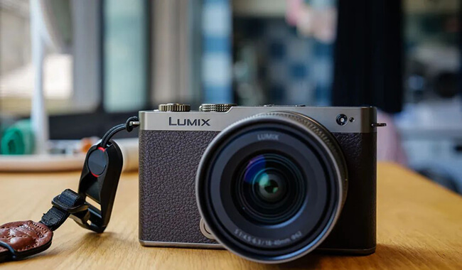 Comparison Between Panasonic LUMIX S9 and Sony A7C2