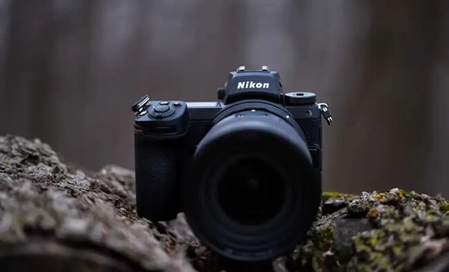 A Nikon camera with a wide lens sits on a tree trunk in a forest setting.