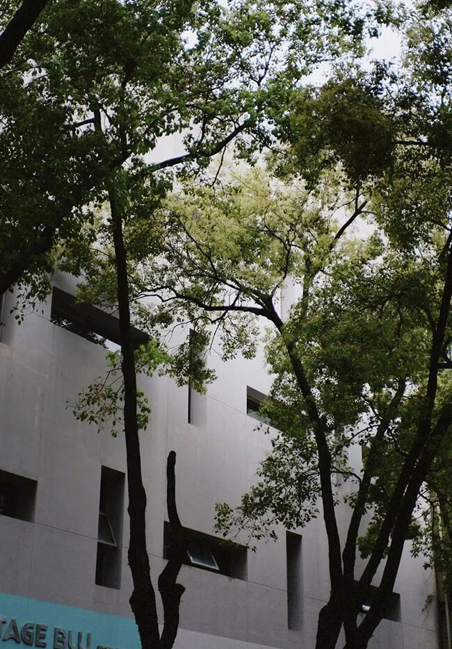 Actual shooting photos of the Fujifilm X-E1